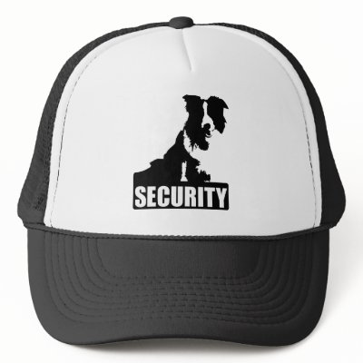 Border (Collie) Security Hat by dogsdogsdogsdogsdogs