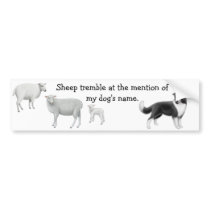 Border Collie & Sheep Herding Bumper Sticker bumper stickers