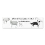 Border Collie & Sheep Herding Bumper Sticker