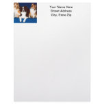 Border Collie & Shelties Letterhead Design