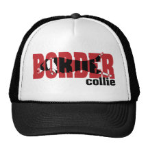 Border Collie silhouette, jumping Hat