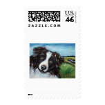 Border collie smile postage stamp