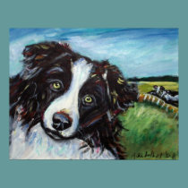 Border Collie smile posters
