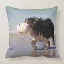 Border Collie - Soccer Anyone? Beach Dogs Throw Pillow