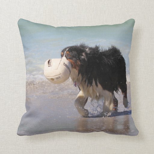 border collie throw pillow