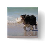 Border Collie - Soccer Anyone? Pins