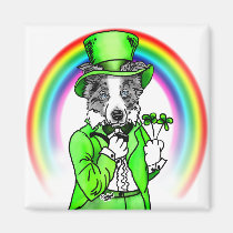 Border Collie St Patrick's Day magnets