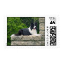 Border Collie Stamp by rldelay Border Collie Stamp