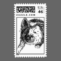 Border Collie Staredown stamps