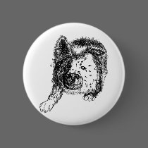 Border collie staredown transp buttons
