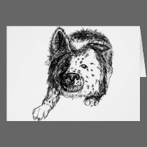Border collie staredown transp cards