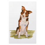 Border Collie stationery