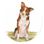 Border Collie stickers