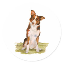 Border Collie stickers