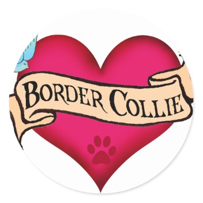 Border Collie Tattoo