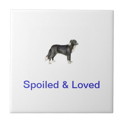 Border Collie Tile