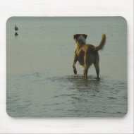 Border Collie - Tipper and Seagull mousepad
