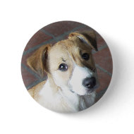 Border Collie - Tipper button