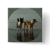 Border Collie - Tipper/Dixie at Sea button