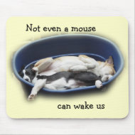 Border Collie - Tipper/Dixie sleeping mousepad