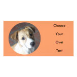 Border Collie - Tipper Photo Card Template