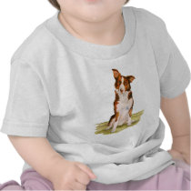 Border Collie t-shirts