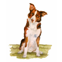 Border Collie t-shirts