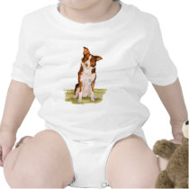 Border Collie t-shirts