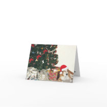 Border Collie Wearing a Santa Hat cards by malibuitalian Border Collie Wearing a Santa Hat cards