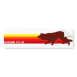 Border Collie With Stripes Bumper Sticker