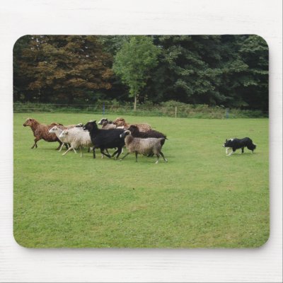 Border Collie working Mousepad by Thorninger