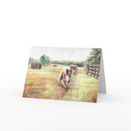 Border Collies - Farm Dogs card