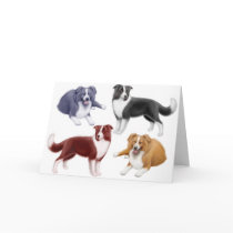 Border Collies Greeting Card