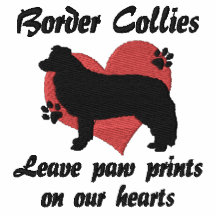Border Collies Leave Paw Prints