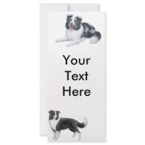 Border Collies Rack Card rack cards