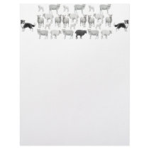 Border Collies & Sheep Letterhead