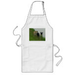Border Collies - Tipper/Dixie ashore Aprons