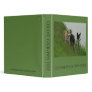 Border Collies - Tipper/Dixie ashore Binders
