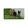 Border Collies - Tipper/Dixie ashore Address Label