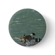 Border Collies - Walking button