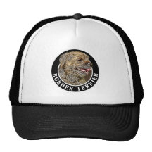 Border Terrier 002 Hats