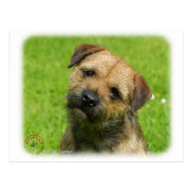 Border Terrier 9W009D-127 Post Cards