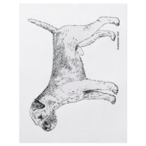Border Terrier flyers