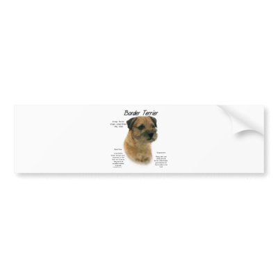 Border Terrier History Design Bumper Sticker by GreyWolfCreation