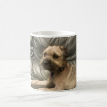 border terrier mug