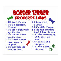 BORDER TERRIER PL2 posters by poochloverstuff BORDER TERRIER PL2 posters
