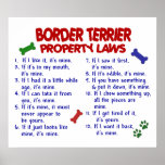 BORDER TERRIER PL2 posters