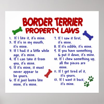 BORDER TERRIER PL2 PRINT by poochloverstuff