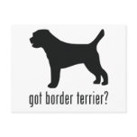 Border Terrier Post Card