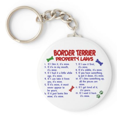 BORDER TERRIER Property Laws 2 Key Chains by poochloverstuff